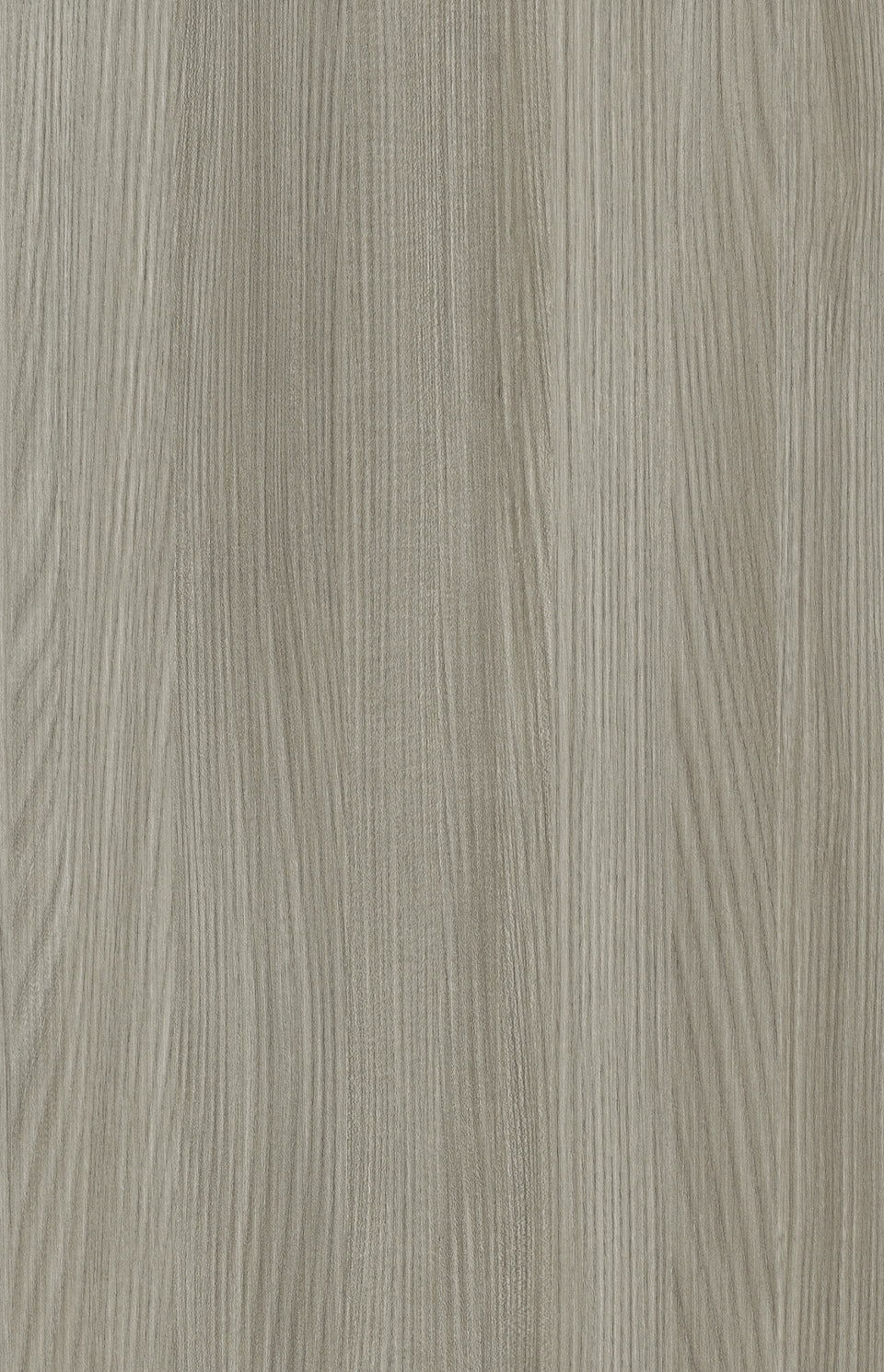 M·A31 Art | Pure Elm 朴榆