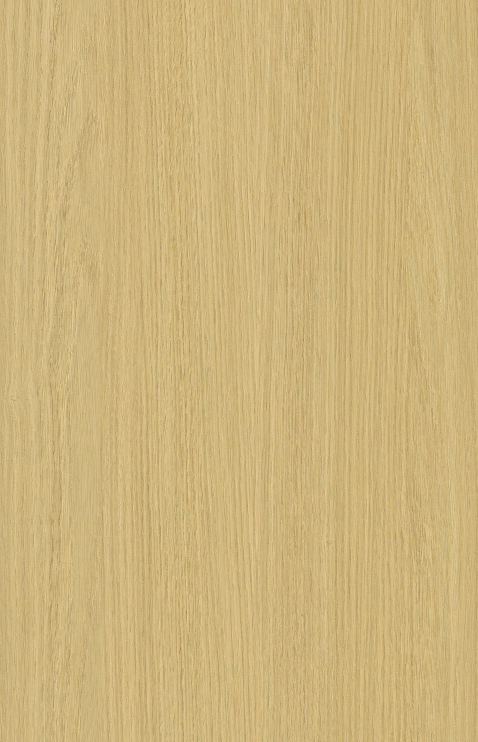 M·A32 Art | Sunlit Oak 橡晖