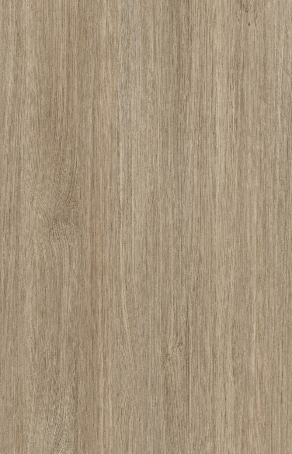 M·A33 Art | Pristine Chestnut 素栗