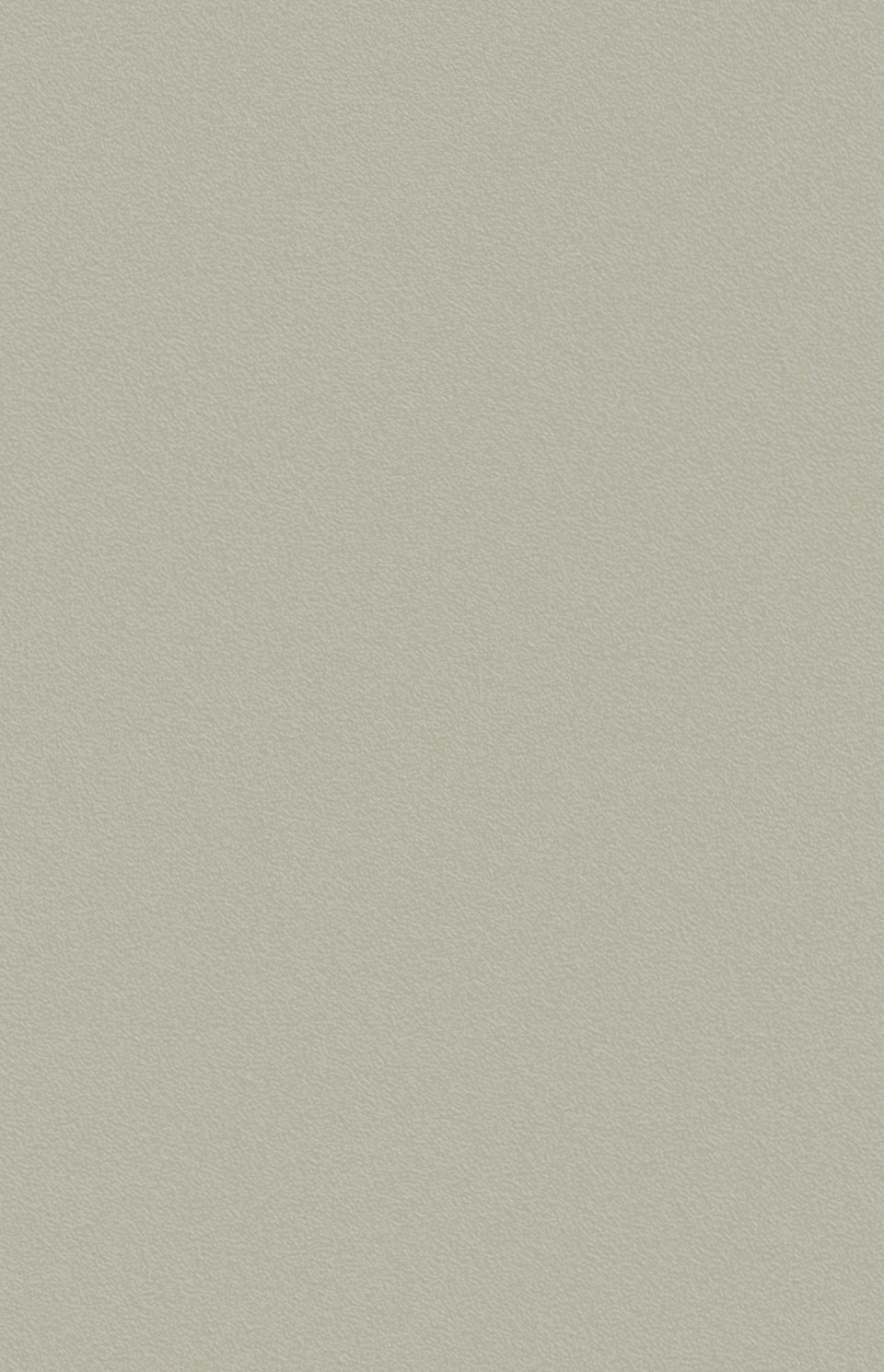 M·S04 Art | Wild grit 原砾