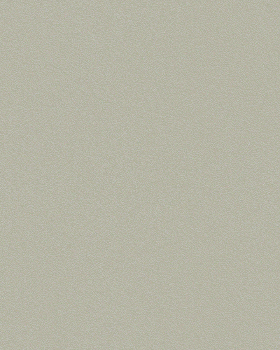 M·S04 Art | Wild grit 原砾