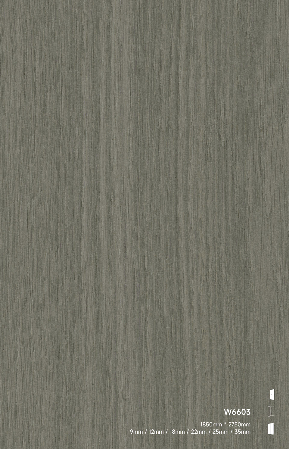 W6603 sync max 灰橡SYNC